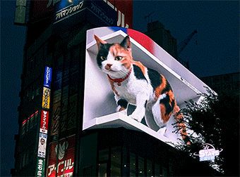 IMG_8551.GIF IMG_8551.GIF